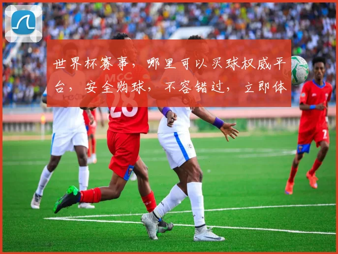 世界杯赛事，哪里可以买球权威平台，安全购球，不容错过，立即体验